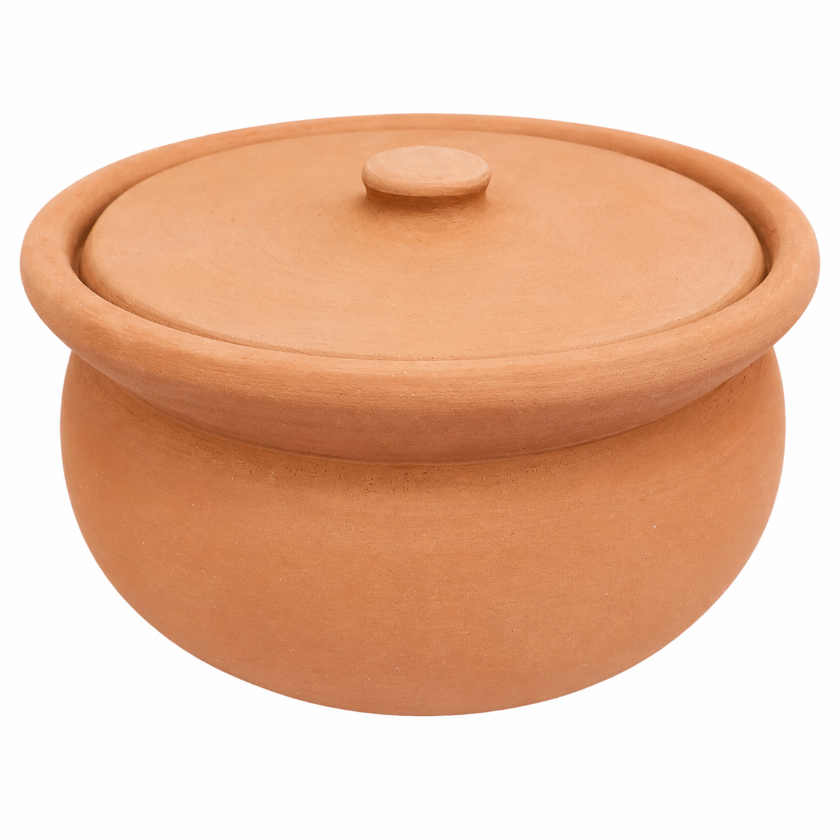 Handcrafted Clay Made Pot - L
