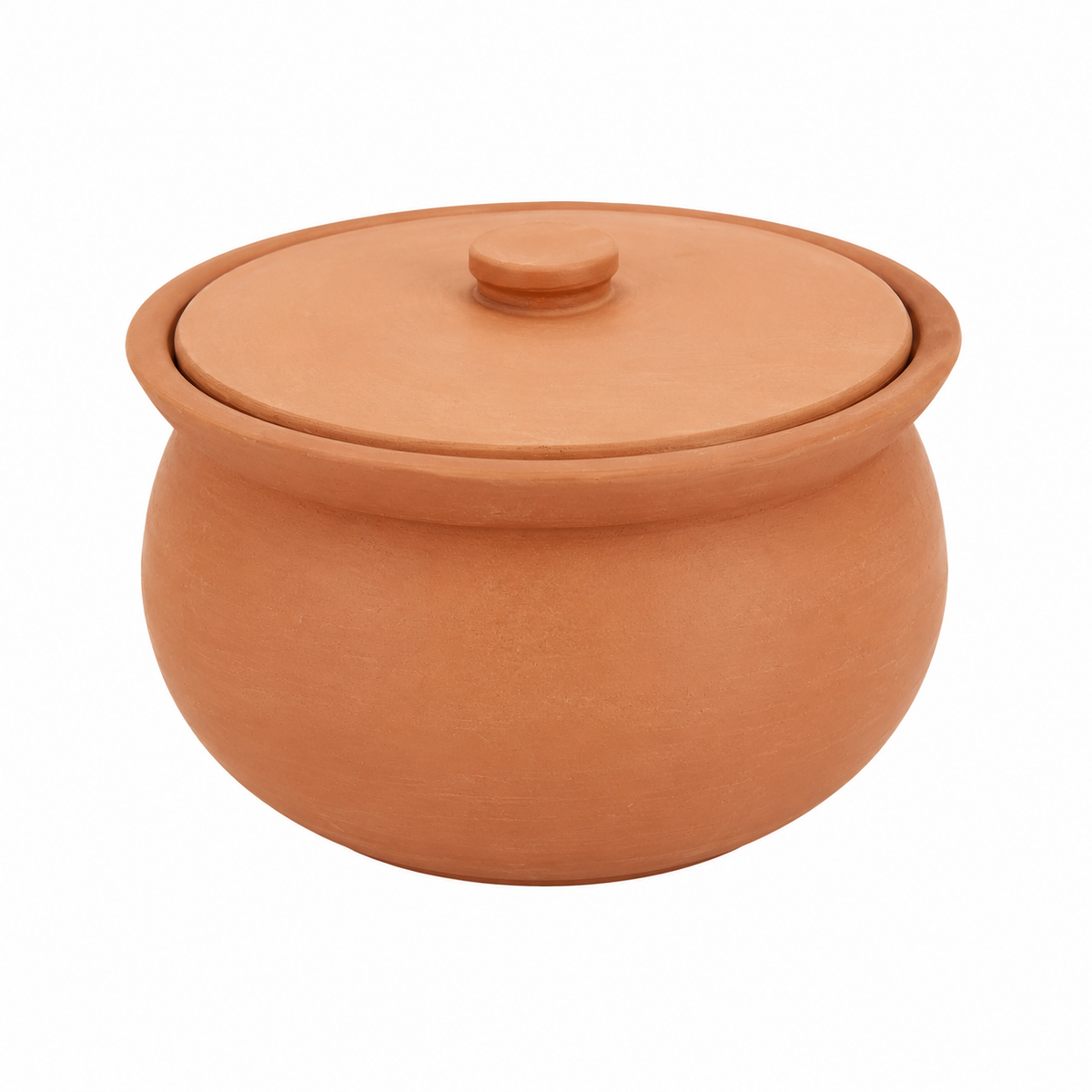 Handcrafted Clay Made Pot - S