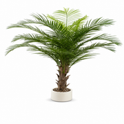 Artificial palm plant with green fronds in a white vase, 1.8 m tall