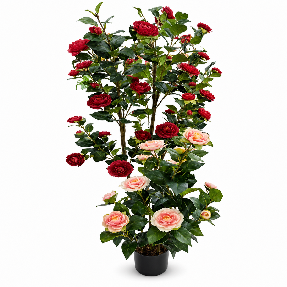 Artificial rose tree with red and pink blooms in a plain black pot, white background