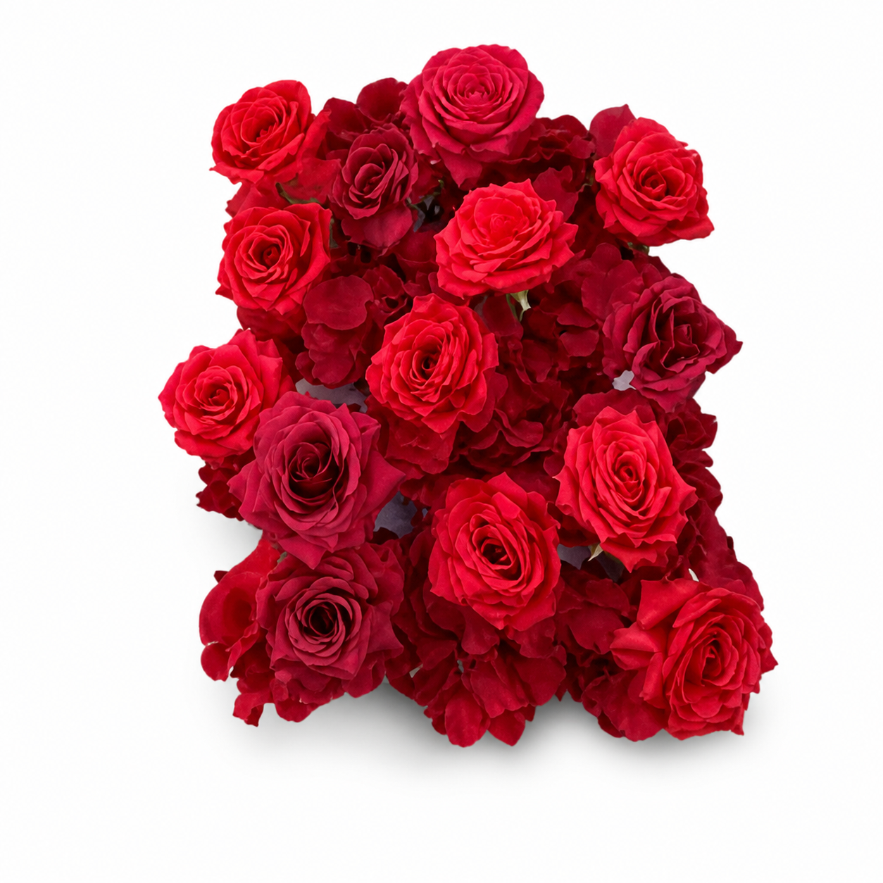 Dense rectangular block of red artificial roses on a white background