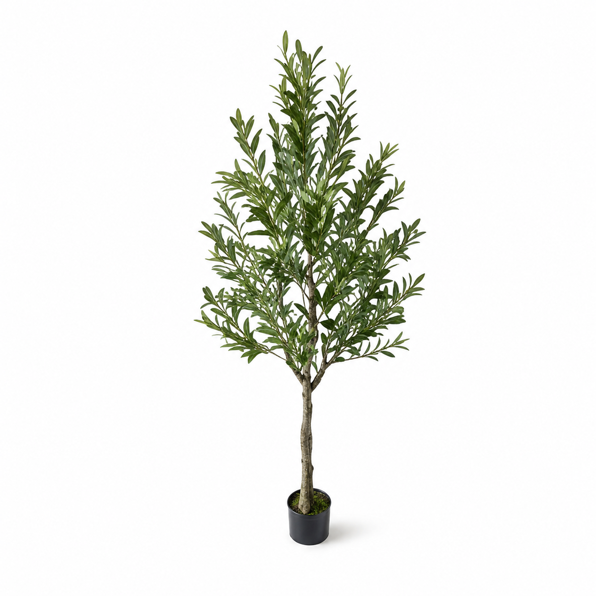 Full-length artificial olive tree in a black planter, second white-background view