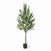 Artificial olive tree with green foliage in a black round planter, shown full length on white
