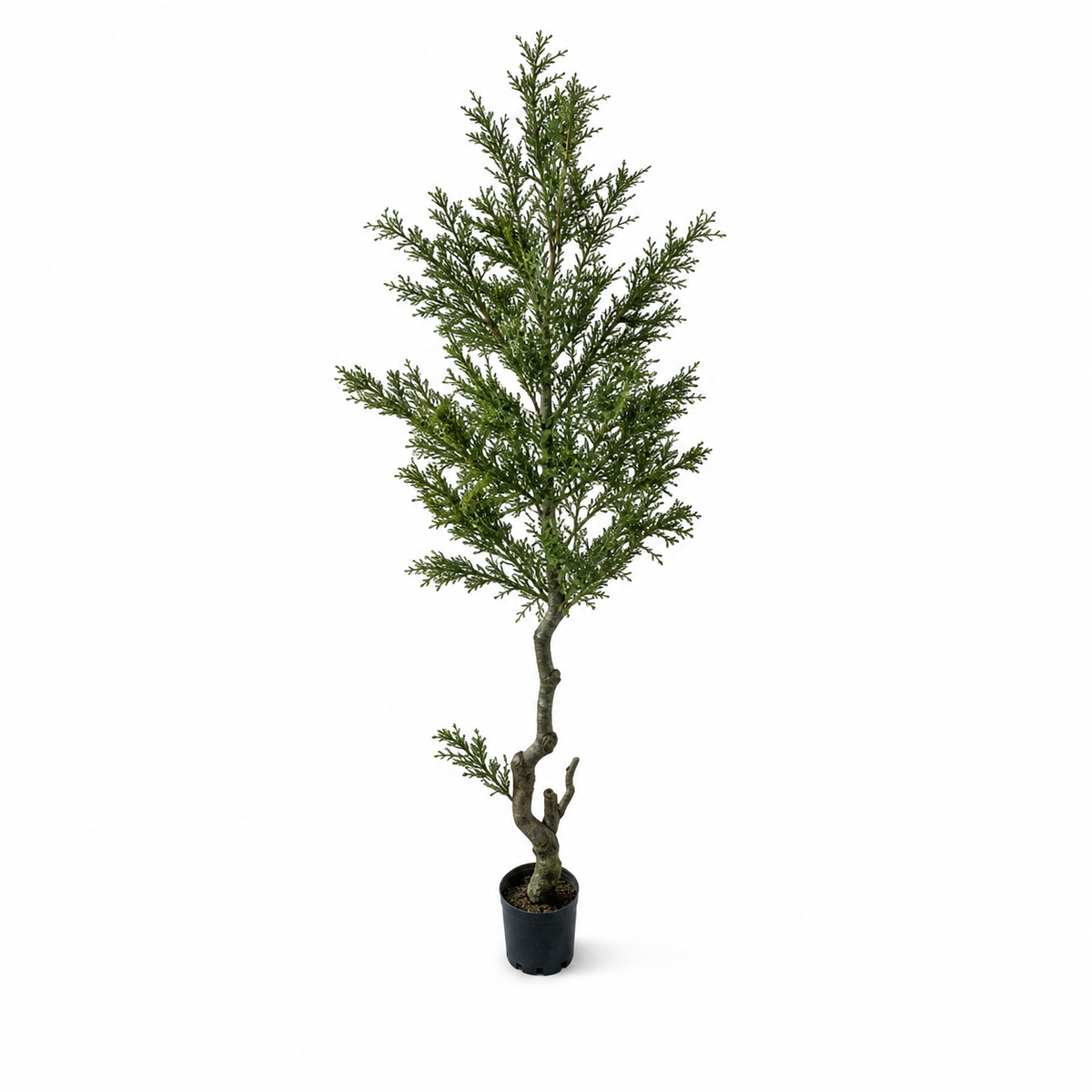 Artificial evergreen tree with dense feathery green foliage in a black planter