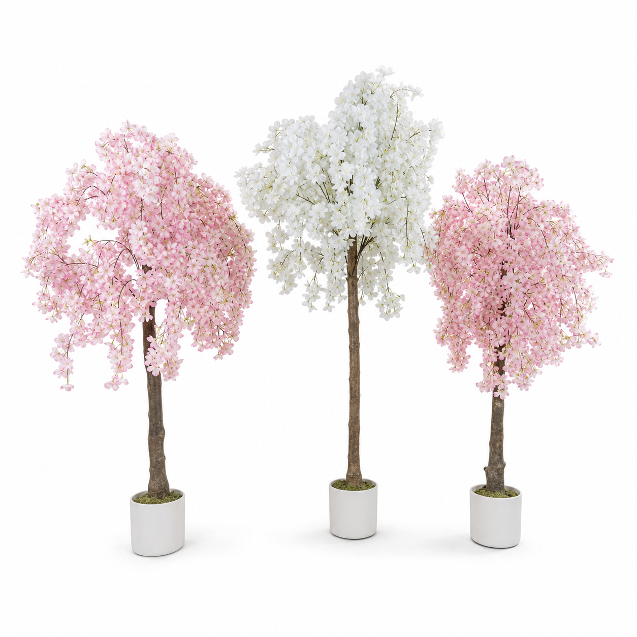Three artificial cherry blossom trees, two pink and one white, in white pots on a plain background