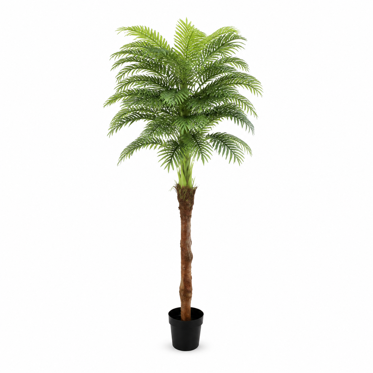 Single-trunk artificial palm tree, 200 cm tall, in a plain black plastic pot