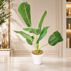 Artificial Banana Tree Plant in White Pot - Realistic Faux Foliage for Home and Office Decor
