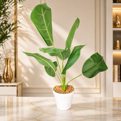 Artificial Banana Tree Plant in White Pot - Realistic Faux Foliage for Home and Office Decor
